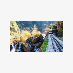 Explore nature & history in Kalavryta