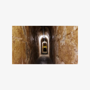 Rottnest Island Historical Train and Tunnel Tour from Hillarys Boat Harbour