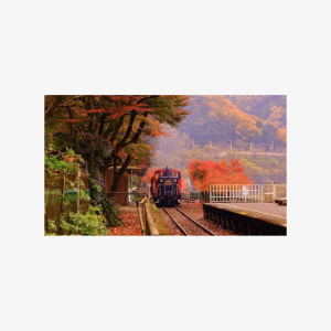 Sagano Romantic Train & Arashiyama, Kiyomizudera, Fushimi Inari Taisha Day Tour